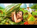 Download Lagu Harvest Pumpkins with my Husband to Sell at the Market, Make Stir-fried Pumpkin \u0026 Grilled Fish
