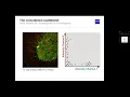 Object and pixel-based colocalization