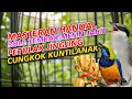 Lagu MASTER HANDAL ROLL TEMBAK MESIN JAHIT | JINGJING PETULAK SAMBUNG CUCAK CUNGKOK