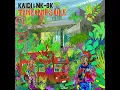 Time Capsule - Kaidi & NK-OK