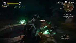 Witcher 3 - Take no damage from Wraiths Ghosts