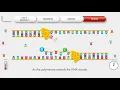 Animated PCR Real Time qPCR procedure