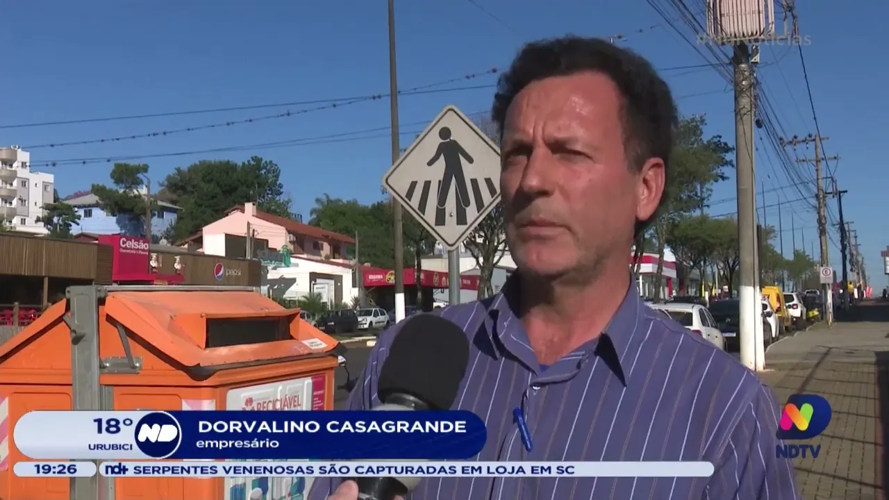 Empresa de Chapecó planta árvores por meio de compensação ambiental