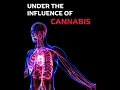 Lagu Under the Influence of Cannabis | UKAT