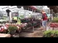 Hose in Lowes