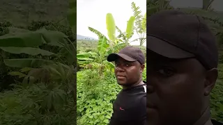 Asante Mungu Kwa Siku Nyingine 