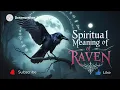 Spiritual Meaning of Raven Messages from the Spirit Realm Transformation Hidden Wisdom