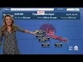 Frances Peyton 2024 WPTV NBC 5