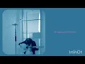 NOL - MONKEY TO MILLIONAIRE 