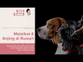 Lagu Malaikat \u0026 Anjing di Rumah | Gus Baha