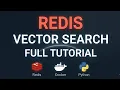 Redis Vector Search Tutorial 2026 Docker Python Full Implementation