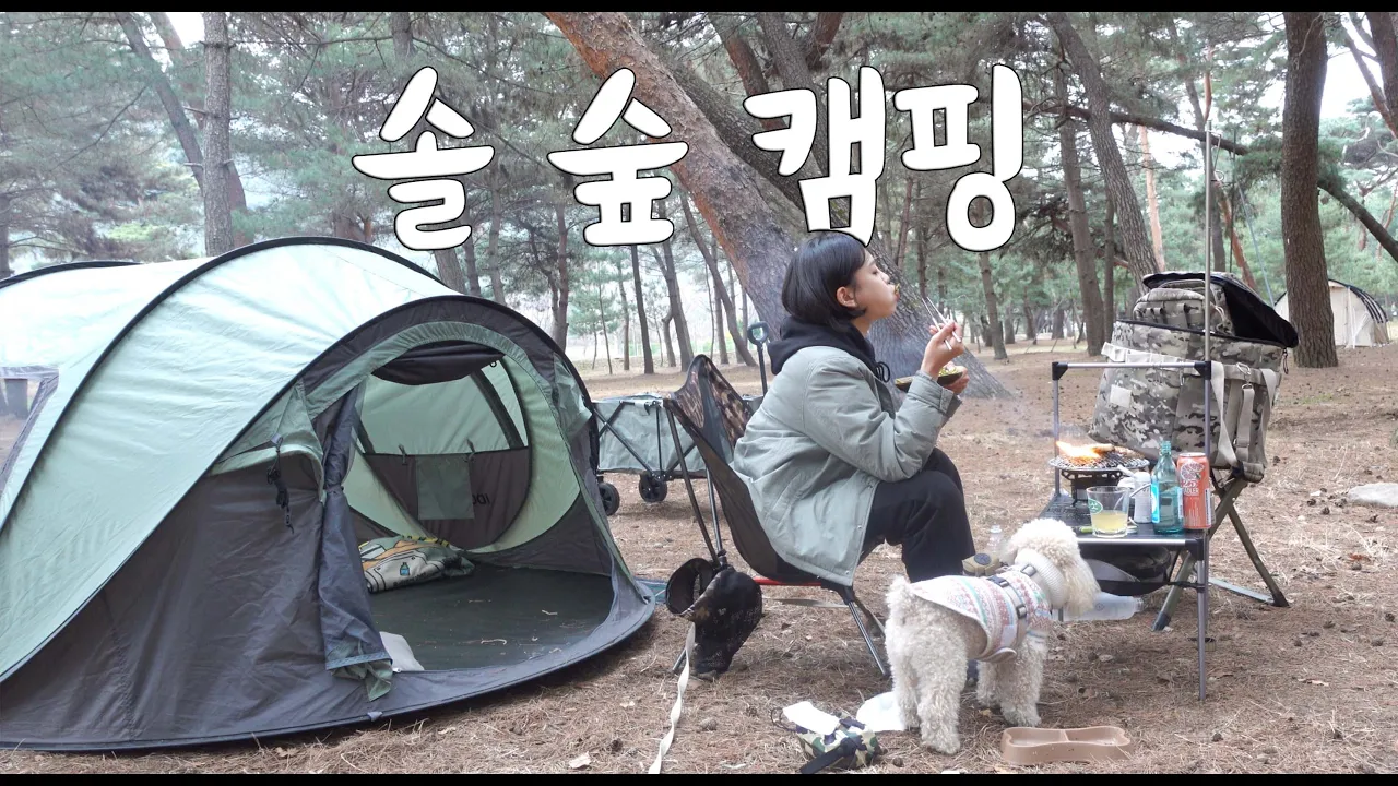 단돈 만오천원 솔 숲 야영장에서 눈물의 맥반석 삼겹살 먹방 캠핑ㅣ구독자이벤트ㅣ애견동반 원터치텐트 애견캠핑ㅣ밀양 기회송림 야영장 썸네일