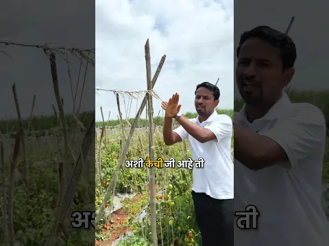 चुका छोट्या ⚠️ पण नुकसान मोठं😰#shorts #indianfarmer