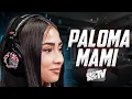 Paloma Mami New Music - Doll Codes