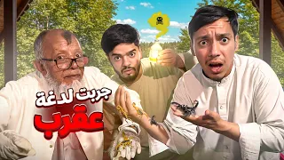 جربت لدغة العقرب                           دندنها
