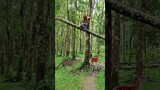                                                                    دندنها