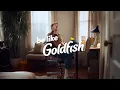 Goldfish Crackers Commercial 2025 2026