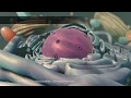 How Your Body Creates Proteins