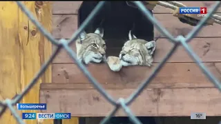 Большереченский зоопарк отметил 37-ой день рождения