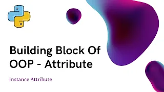 31 OOP Attribute Instance Attribute Python