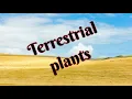 Class 4 EVS - Lesson 1 Module 5