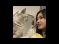 Cat Headbutt