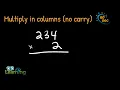 Multiplying in Columns No Carry Example