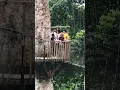 Download Lagu She collapsed on kakum canopy walkway
