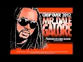 MR DALE - GALORE 2012.flv