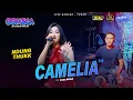 Download Lagu CAMELIA - Intan Afifah OOMEGA Ft ( Faris Kendang ) Live Tuban #dhehanpro