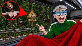 JIKA KAMU LIHAT TANDA PENARI SKADUNG KADING INI DIJALAN CEPAT PERGI JANGAN LEWAT, AWAS DIA...!!!
