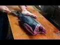 Download Lagu Bonito Fish Filleting Sashimi Making