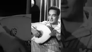 ابو شامة و علامة ابو طالعة بسامة حبيبي وعينيا محمد فوزي سامية جمال 