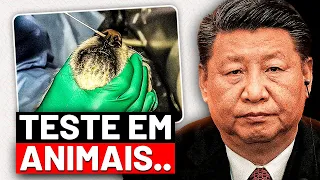 Algo MUITO ESTRANHO está Acontecendo na CHINA..
