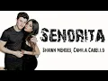 Download Lagu Shawn Mendes, Camila Cabello  -  Señorita TONE NADA DERING