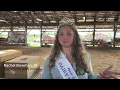 What does the Morrisons Cove Dairy Show mean to you
