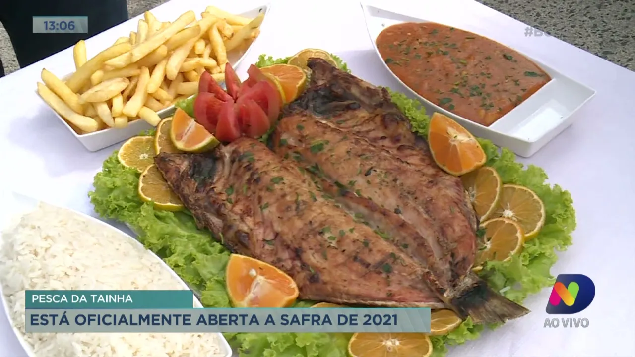 Tradição e cultura: está oficialmente aberta a temporada da pesca da tainha 2021