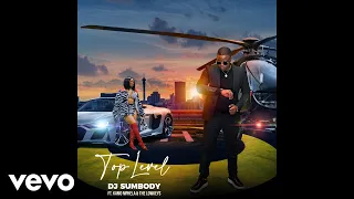 dj sumbody top level official audio ft kamo mphela the lowkeys