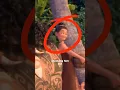 Lagu You Missed This Crazy Moment in Moana  #shorts #disney #moana