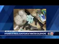 Winston-Salem 8 pounds of drugs multiple weapons found in residence