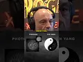 Download Lagu Rogan: Photons and the Yin-Yang Connection