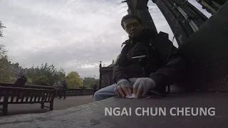                                                        دندنها