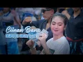 Download Lagu Joget DJ Ciinan Bana - Karnaval Buwek 2024
