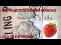 Dulce De Fresa Cannabis Flower Strain Review The TLC Genetic Show