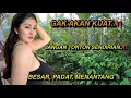 Download Lagu NGERI NGERI SEDAP ❗❗ SUASANA KEHIDUPAN SYAHDU WARGA DESA TERPENCIL PEDALAMAN JAWA TENGAH