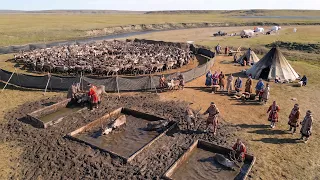 Lost in the Tundra | The Reality and Survival of Remote Arctic Life