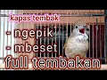 Download Lagu MASTERAN KAPAS TEMBAK GACOR NGEPIK MBESET full tembakan