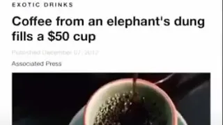 يا صباح الخرا 