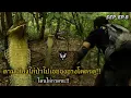Download Lagu SEP EP.8 ตามเสียงไก่ป่าไปเจอจงอางโคตรดุ!! โดนไล่กวดซะ!!