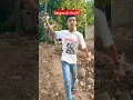 Download Lagu Ngamuk karna di rekam.! preman bac0k mandor #preman #shorts